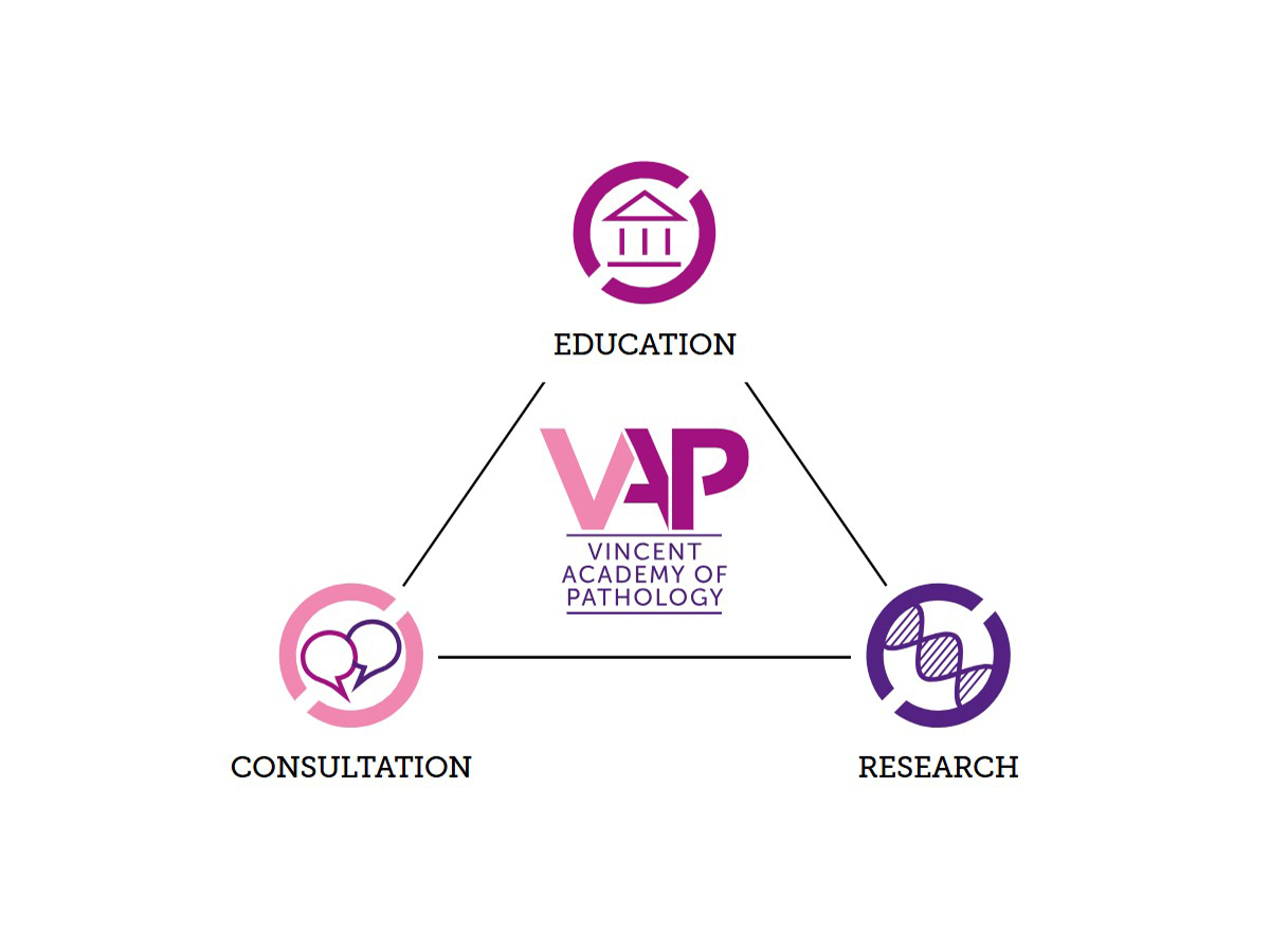 Die drei Säulen der Vincent Academy of Pathology